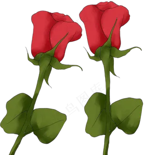 玫瑰花花朵情人节