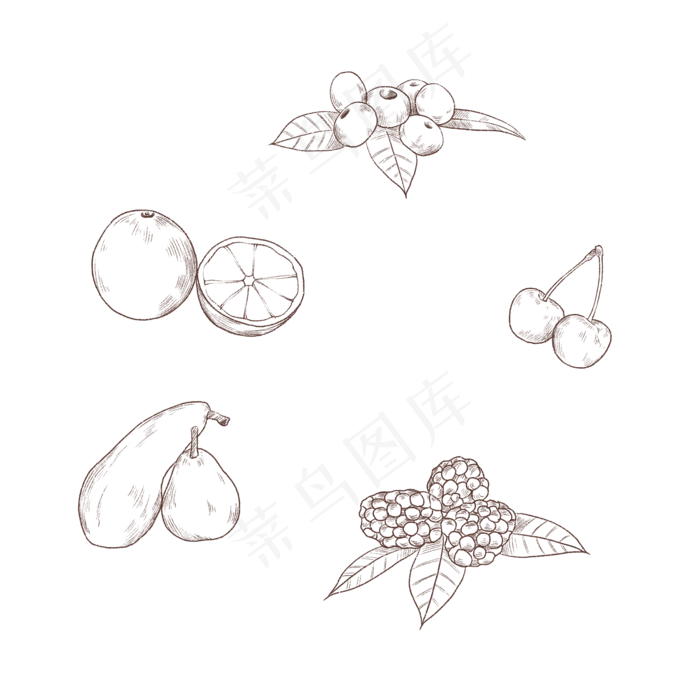 手绘水果线稿(2000X2000(DPI:300))psd模版下载