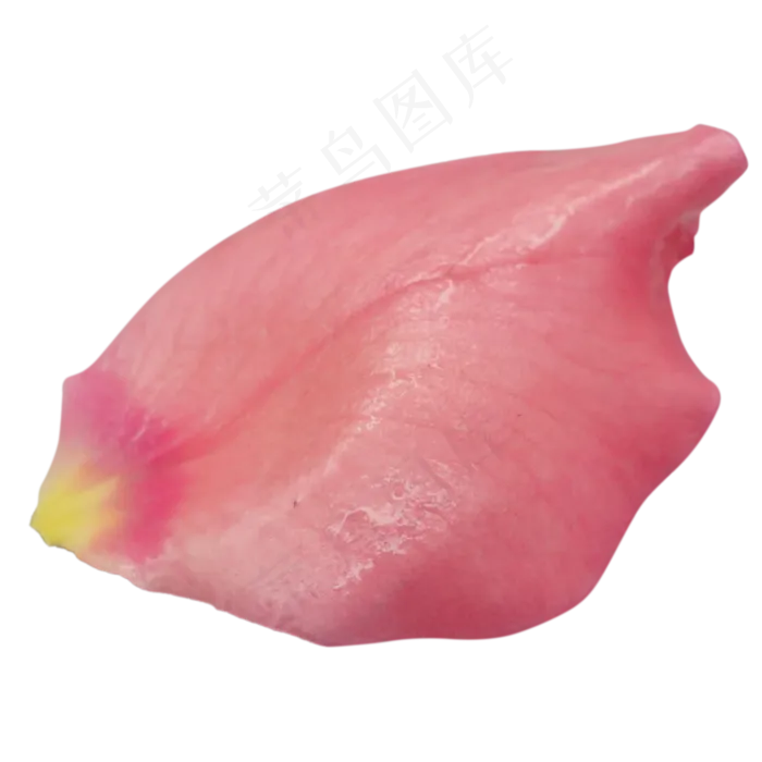 鲜花玫瑰花瓣(2000X3000(DPI:300))