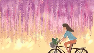 春天你好之紫藤花开