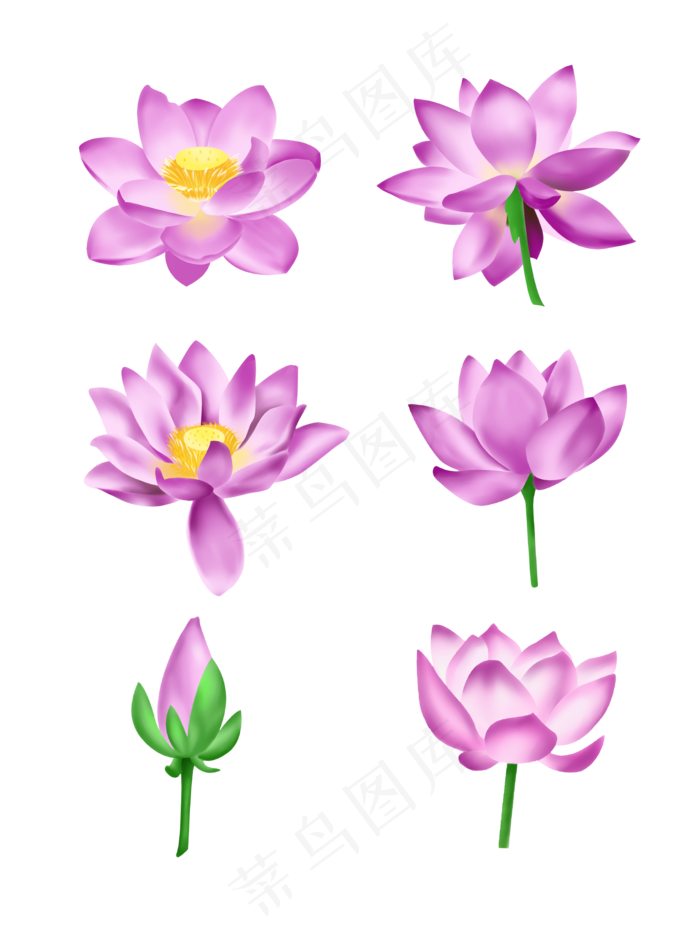 夏季节气荷花荷叶(2048X2738(DPI:300))psd模版下载