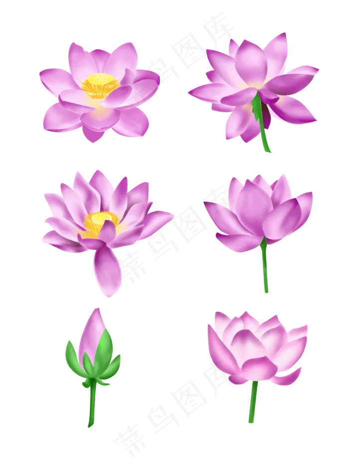 夏季节气荷花荷叶(2048X2738(DPI:300))psd模版下载