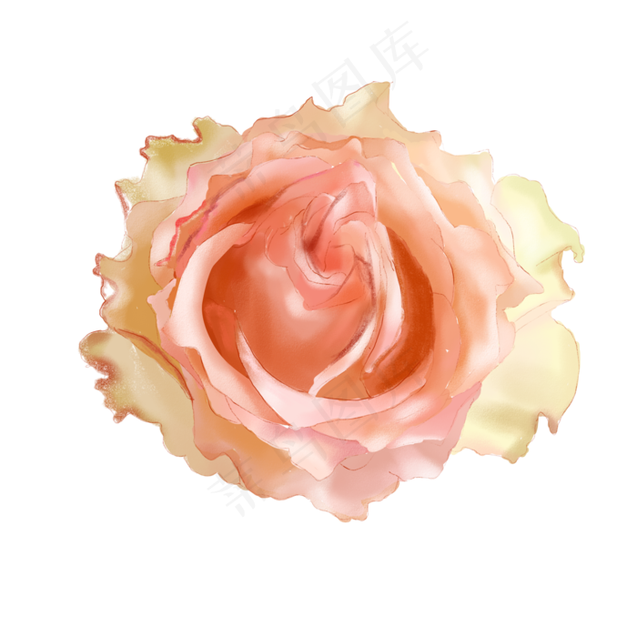 粉色手绘风清新玫瑰花