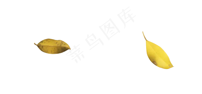 秋天黄色落叶洒落在地(5184X2424(DPI:300))psd模版下载