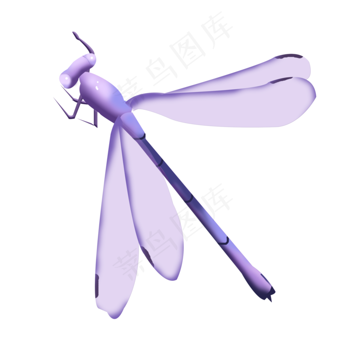 浪漫飞舞紫色蜻蜓