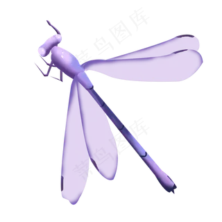 浪漫飞舞紫色蜻蜓