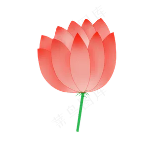 夏季植物荷花PNG图案