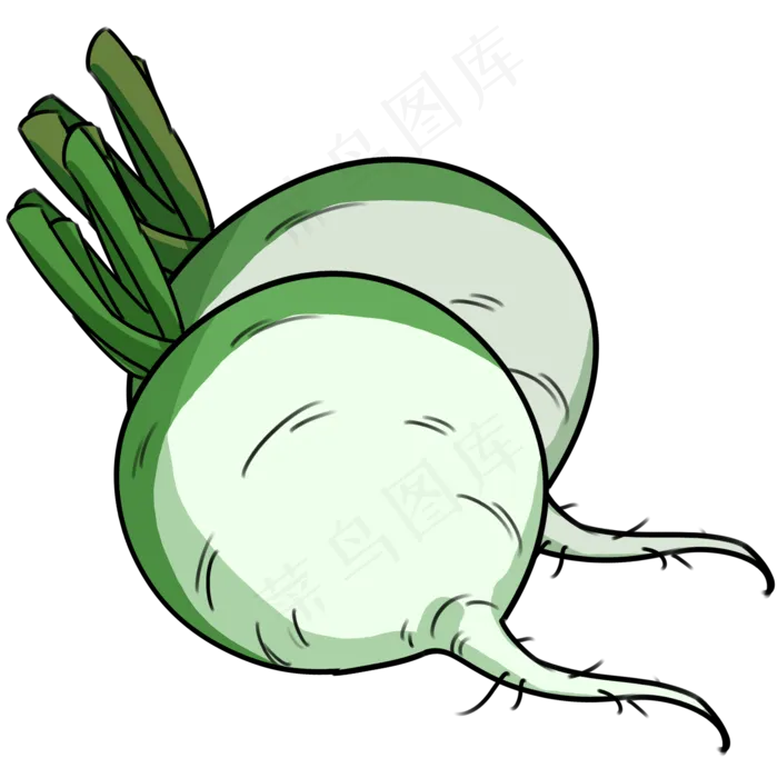 手绘蔬菜绿萝卜(2000X2000(DPI:300))psd模版下载