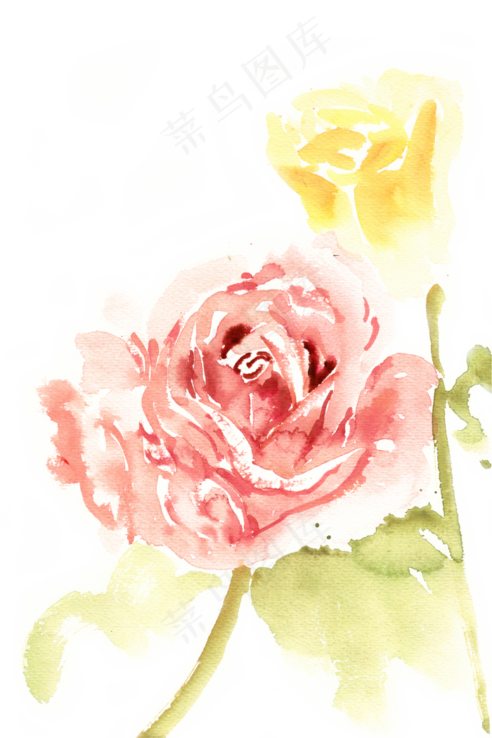 水彩画红玫瑰与黄玫瑰