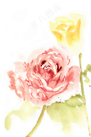 水彩画红玫瑰与黄玫瑰