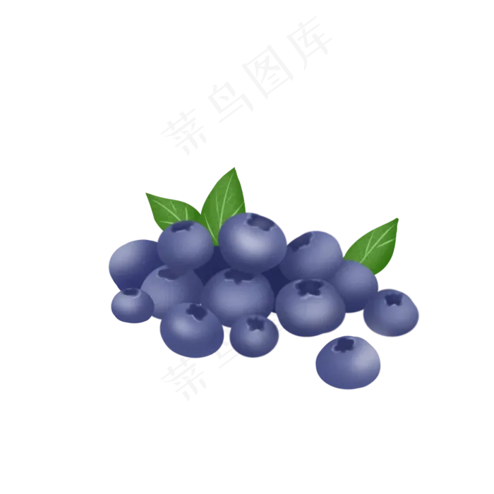 手绘蓝莓矢量素材(1000X1000(DPI:300))psd模版下载