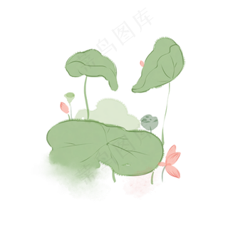 中国风水彩水墨莲与莲花