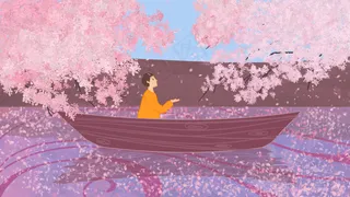 三月你好之坐看花落