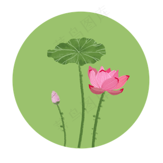免扣夏日荷花荷叶花苞PNG