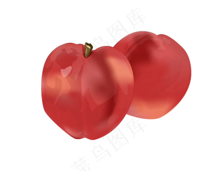 红色的水果李子插画