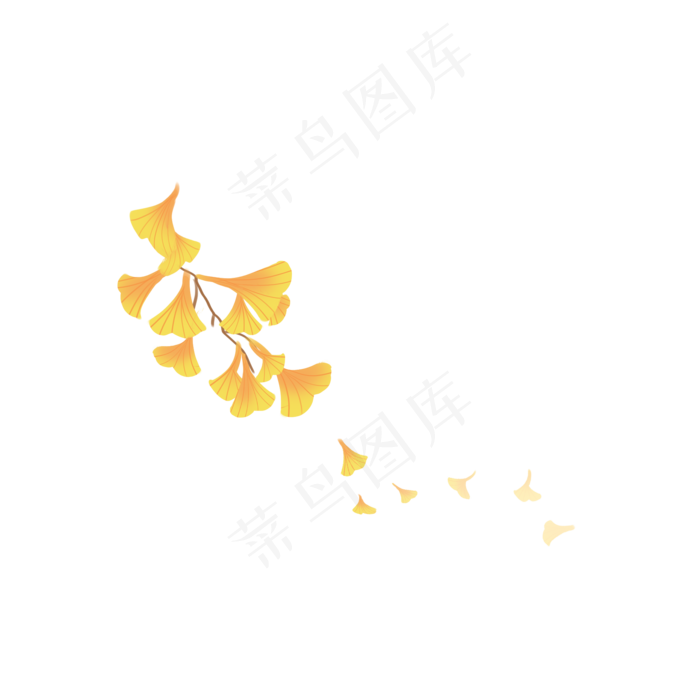 手绘治愈小清新银杏叶(2000X2000(DPI:300))psd模版下载