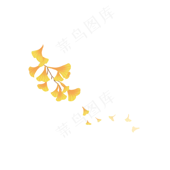 手绘治愈小清新银杏叶(2000X2000(DPI:300))psd模版下载