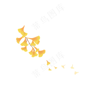 手绘治愈小清新银杏叶