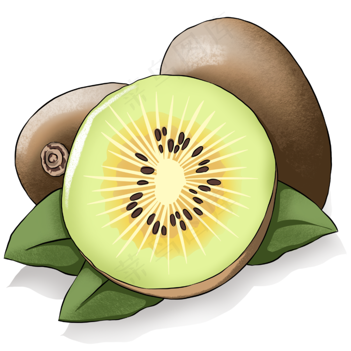 新鲜美味有营养的奇异果