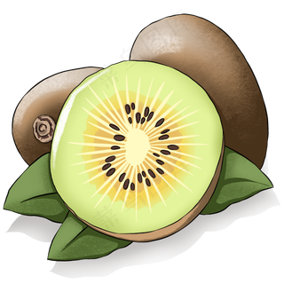 新鲜美味有营养的奇异果