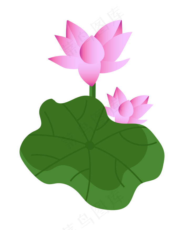 两朵精美的荷花花苞(2000*2503px 300 dpi )ai矢量模版下载