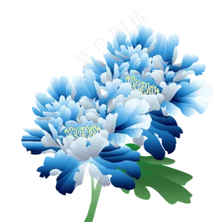 手绘花古典蓝色牡丹花元素,免抠元素