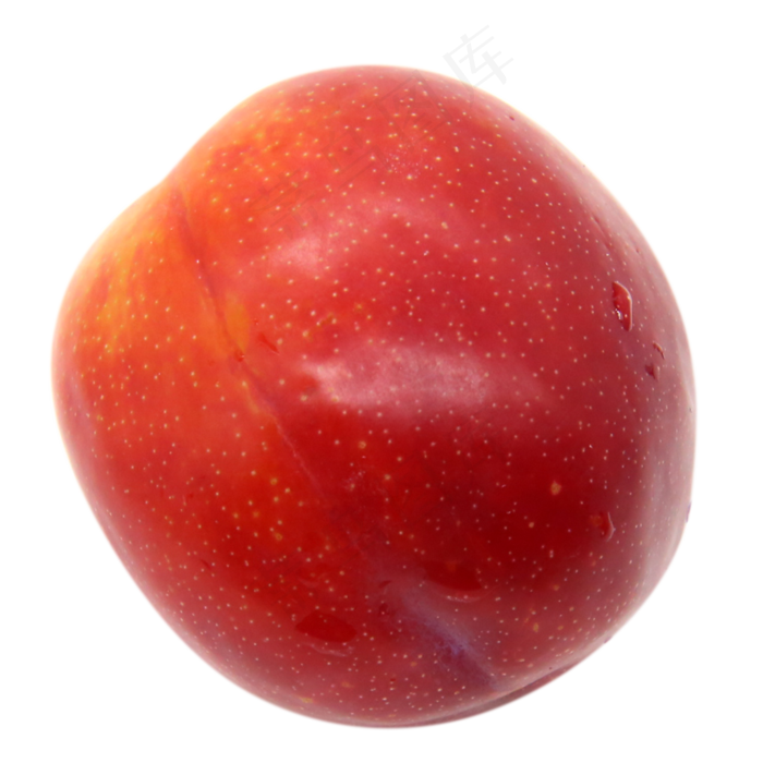 红色李子水果