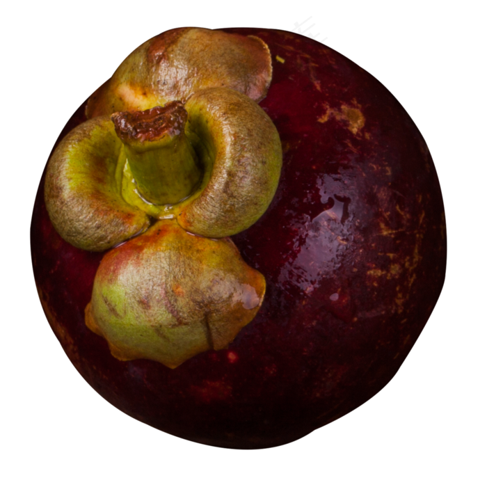 实拍果林果树水果果实