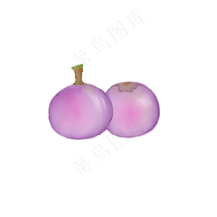 葡萄水果装饰图案植物(2000X2000(DPI:300))psd模版下载