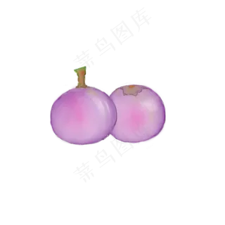 葡萄水果装饰图案植物