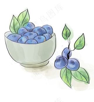 水彩一碗蓝莓
