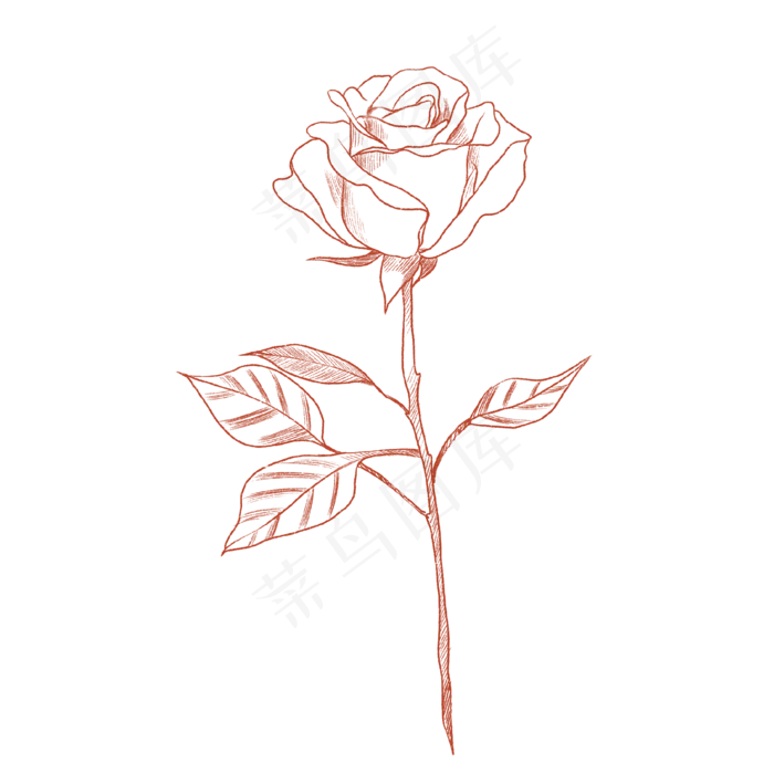 手绘玫瑰(2000X2000(DPI:300))psd模版下载