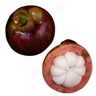 实拍果林果树水果果实