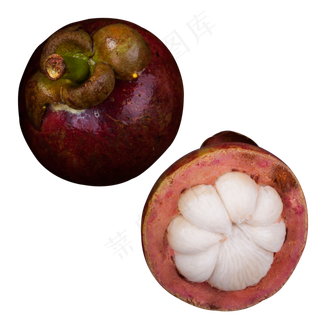 实拍果林果树水果果实