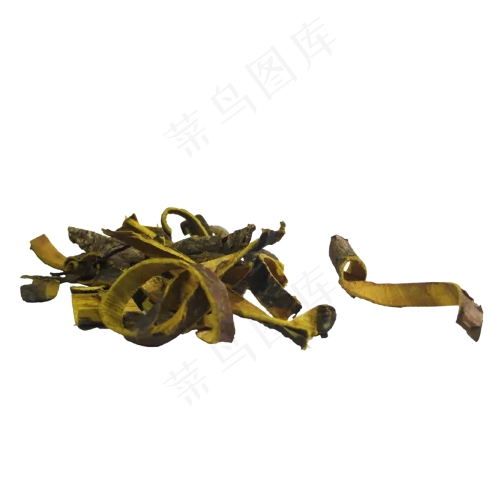 黄柏中药药材,免抠元素(3333*3333px 300 dpi )