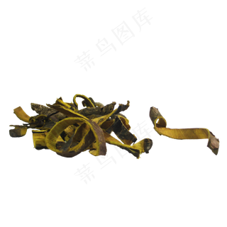 黄柏中药药材,免抠元素