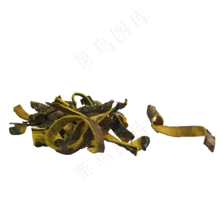 黄柏中药药材,免抠元素