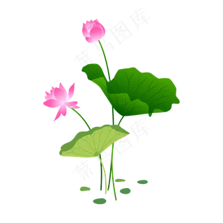 手绘卡通粉色荷花