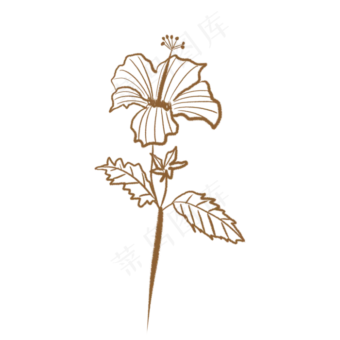 手绘线稿国画芙蓉花(2000*2000px 72 dpi )