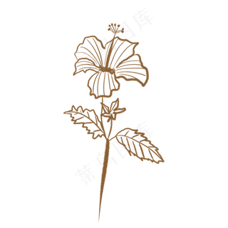 手绘线稿国画芙蓉花