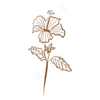 手绘线稿国画芙蓉花