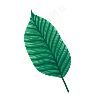 一片绿色叶子PNG免抠素材