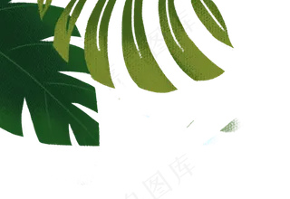 手绘卡通左上角植物边框元素