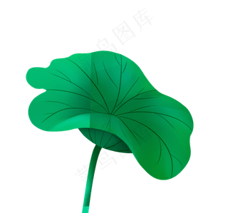 绿色荷叶