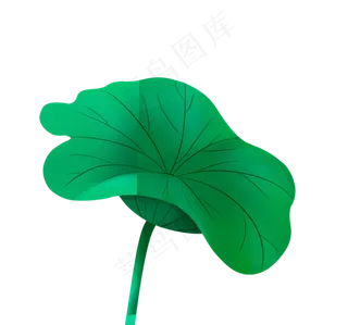 绿色荷叶