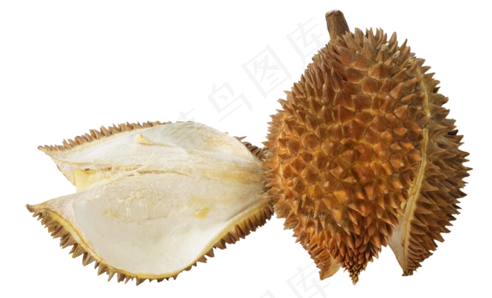 美食水果榴莲