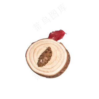 实木木头和叶子