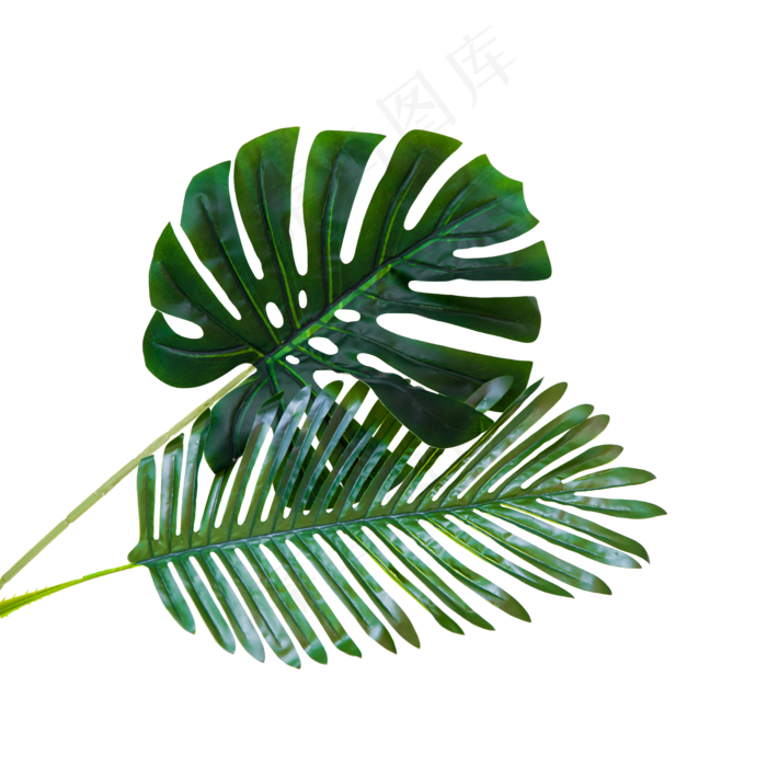 绿植假花绿叶,免抠元素