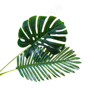 绿植假花绿叶,免抠元素
