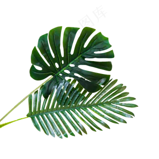 绿植假花绿叶,免抠元素